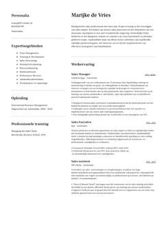 Kies voor template Toronto en maak een professioneel cv