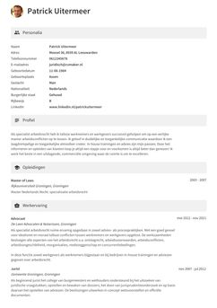 Kies voor template Berkeley en maak een professioneel cv