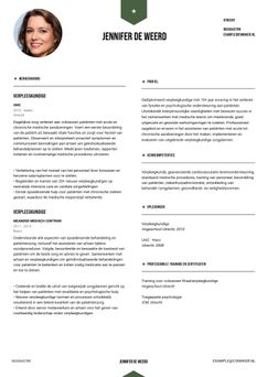 Kies voor template Peking en maak een professioneel cv