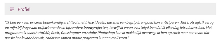 Persoonlijk profiel cv voorbeeld